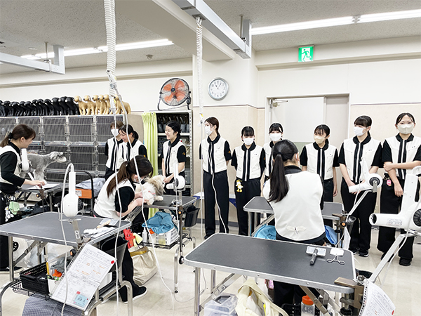 ☆先輩のトリミングを見学☆